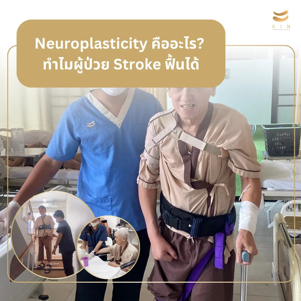 "What is Neuroplasticity? The Science Behind How and Why Stroke Patients Can Recover Brain Function"